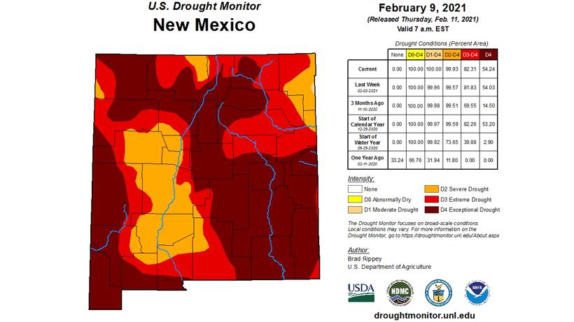 APPLICATION STRATEGY 2021: New Mexico Sheep & Antelope - 0d