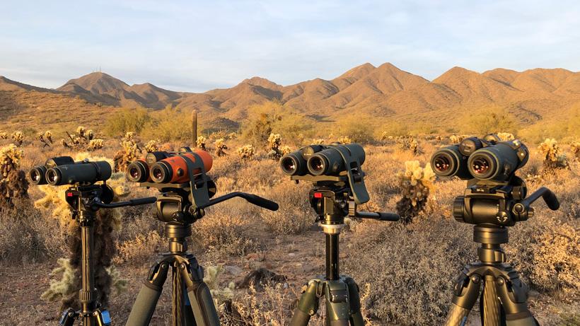 Swarovski binocular glassing comparison