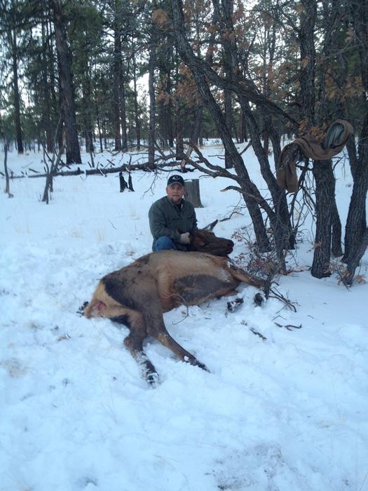 New mexico cow elk harvest 2