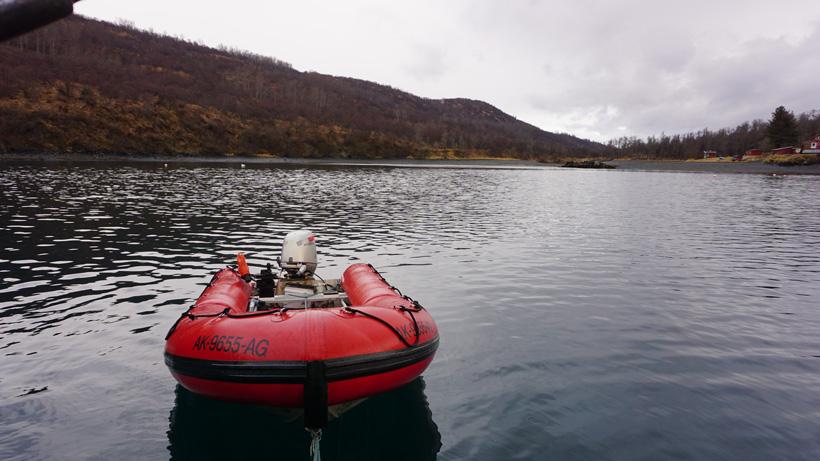 Utilizing a boat in kodiak alaska for hunting