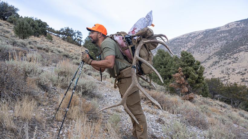 Chris Porter packing out bull elk