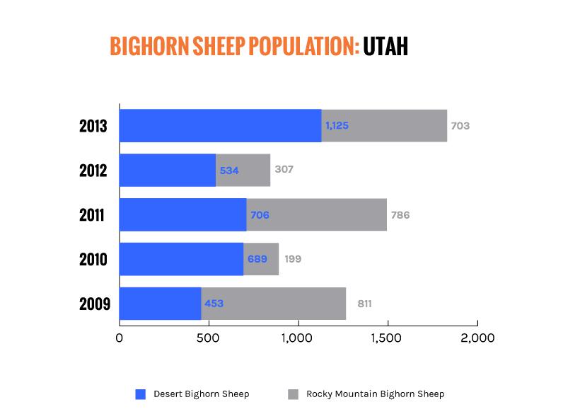 Bighorn sheep utah population chart