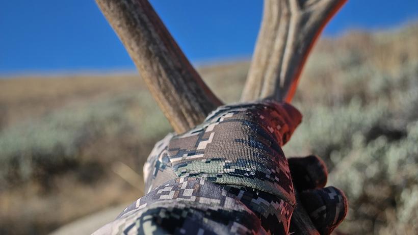 Photo 2 - The cherry on top, a Montana hunt to remember