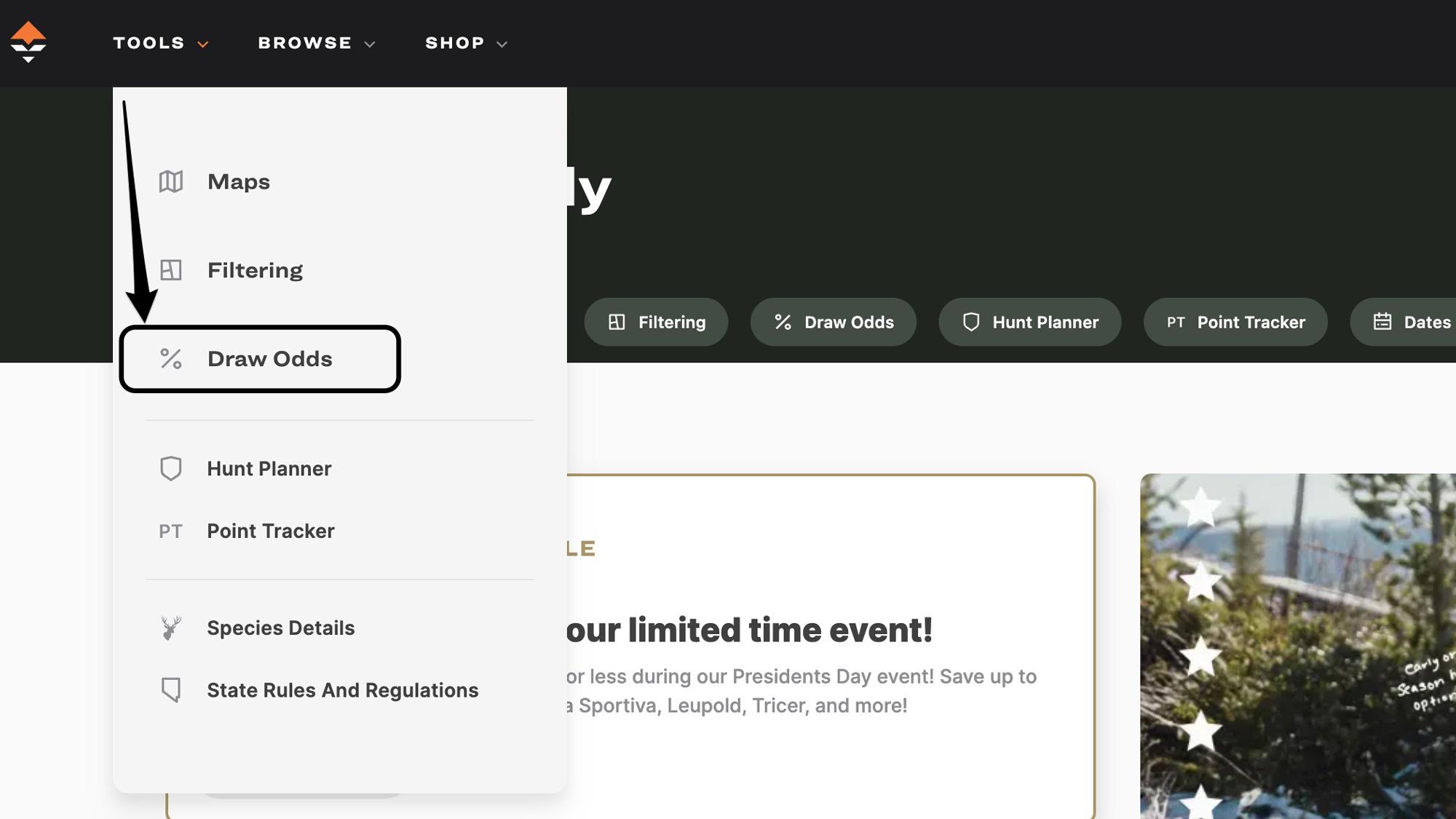 How to access draw odds on Insider