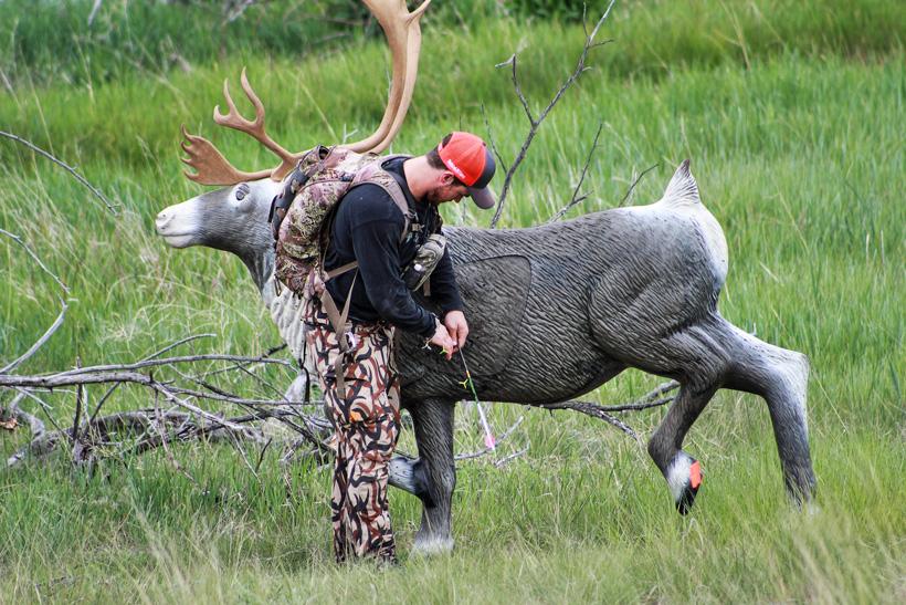 Colton pulling arrows after shooting at 3d target