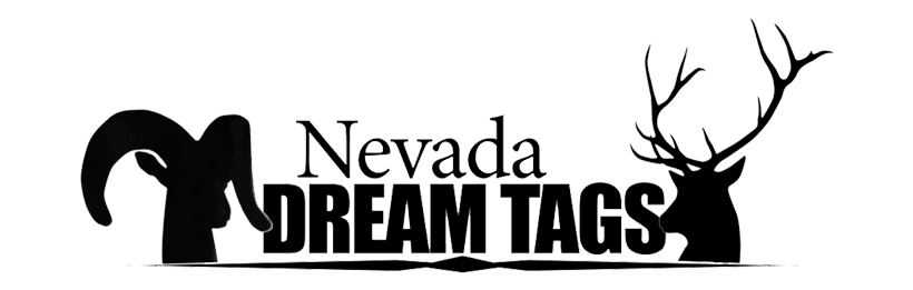 Breaking down Nevada's PIW, Silver State and Dream Tags - 4