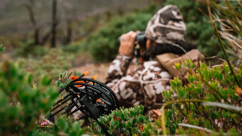 Carbon bow worth it 4