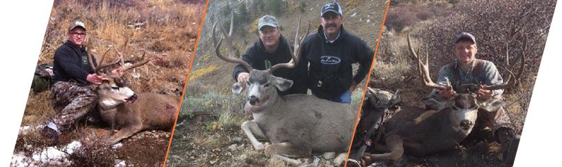How to apply for Nevada’s 2018 mule deer guided draw - 8d