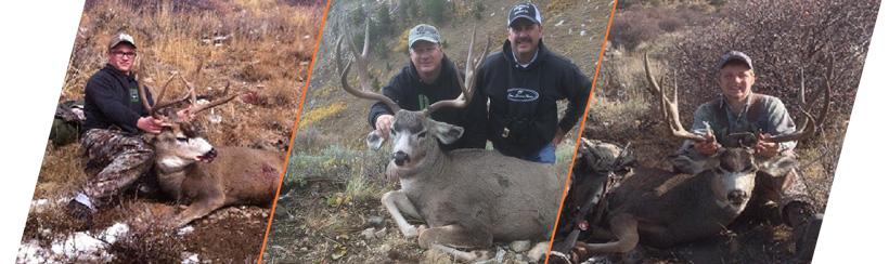 Secret pass outfitters mule deer photos for nevada guide draw