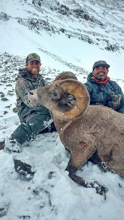 Ej varos wyoming bighorn sheep