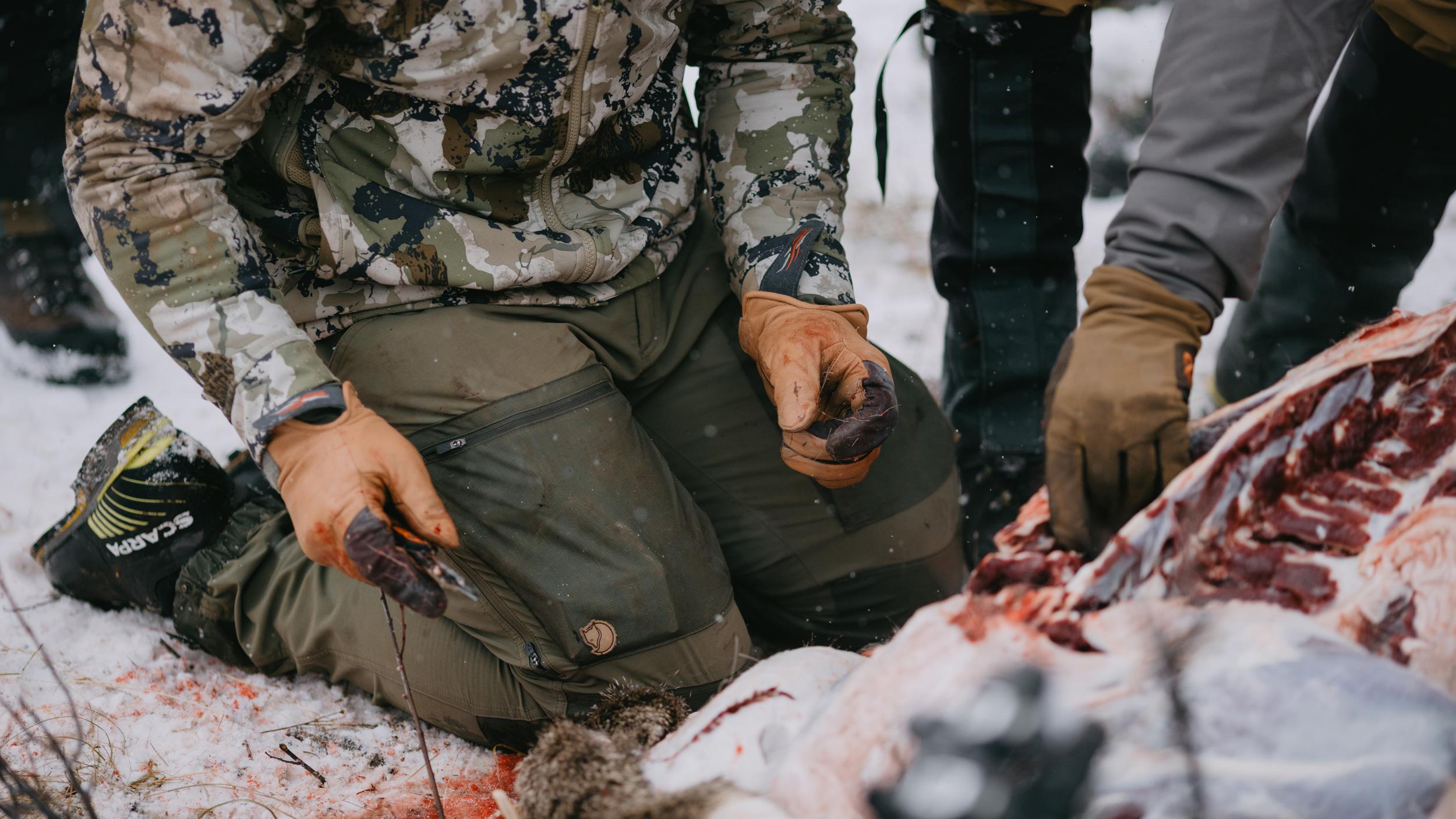 Cutting up deer meat using a thin pair of gloves