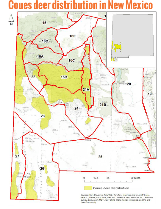 Coues whitetail distribution