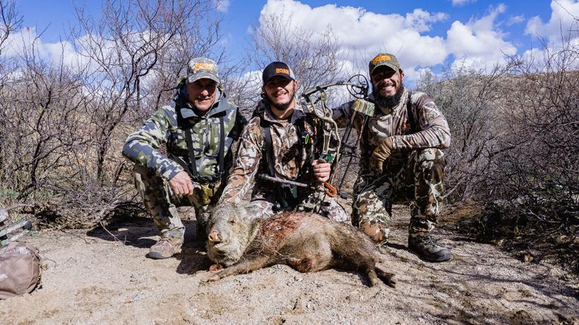 Arizona javelina hunting opportunities - 7