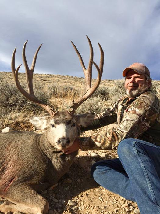 Wyoming mule deer buck taken with shoshone lodge outfitters