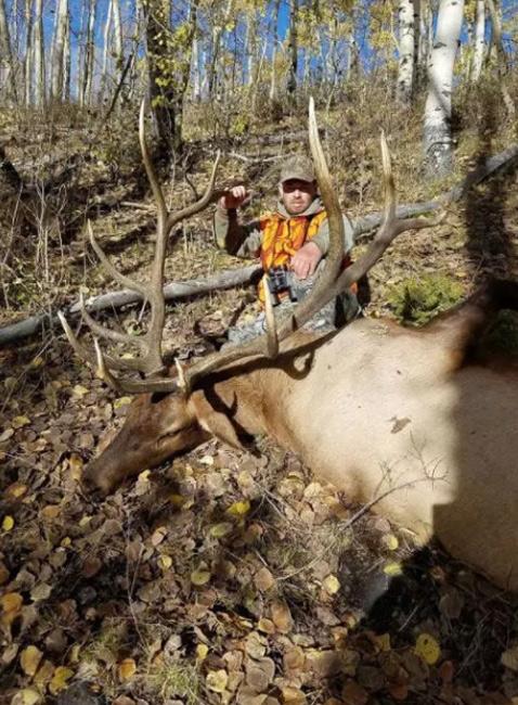 Poached trophy bull elk in utah