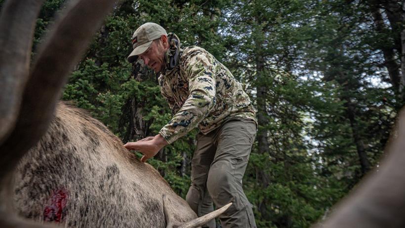 Trail skinning elk