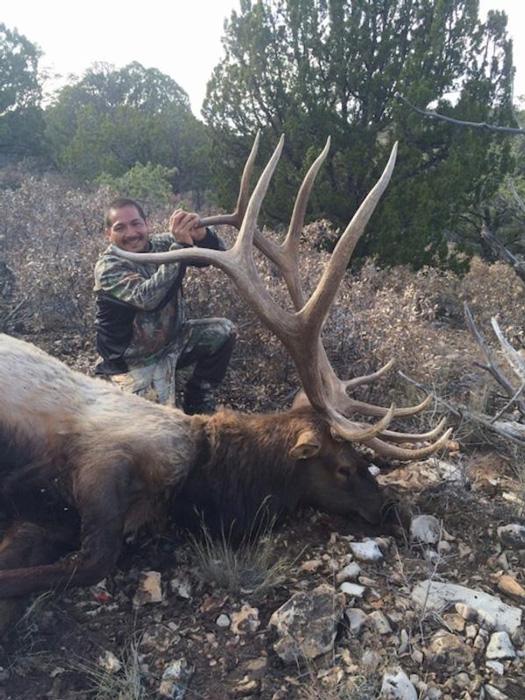 APPLICATION STRATEGY 2018: New Mexico Elk - 7d