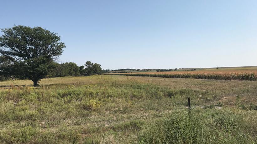Hunting early season whitetail in Kansas - 1