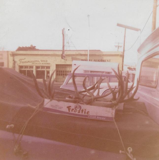 Old school mule deer photo