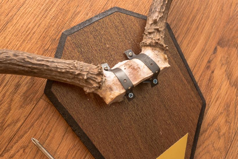 Metal bands around skull plate