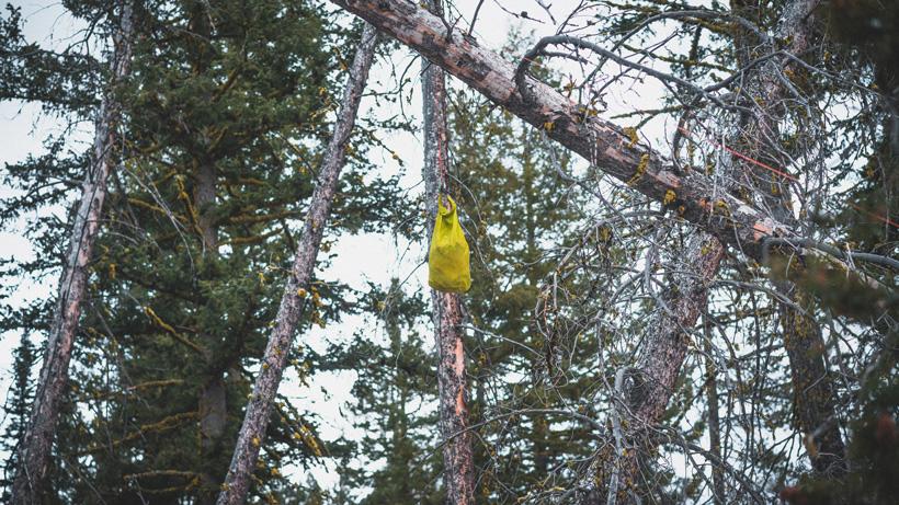 Bear canisters food sacks while hunting