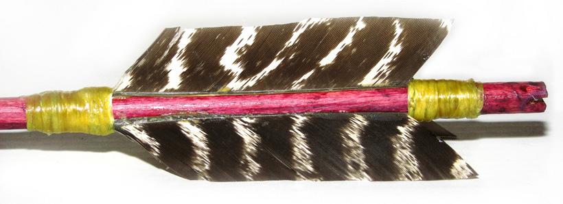Wooden arrow and turkey feather fletchings