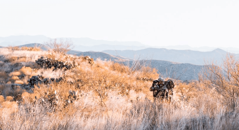 Certain hunting tactics shine better in certain scenarios