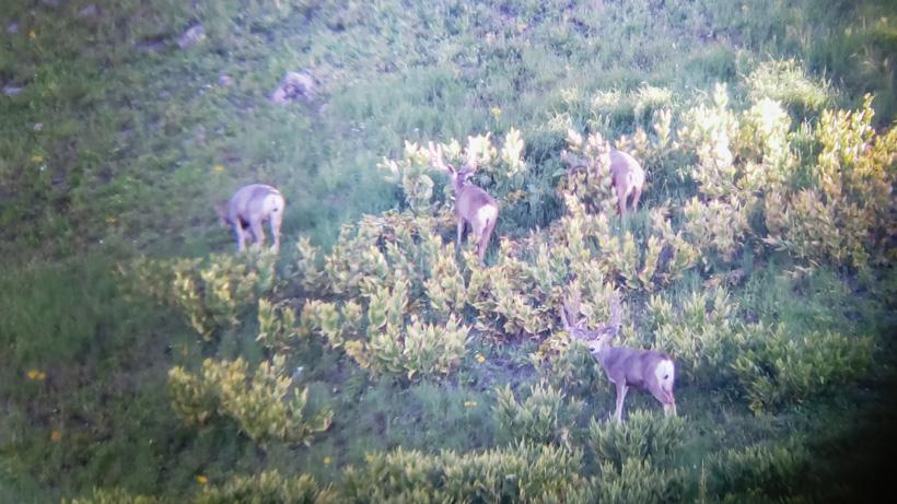 3 things not to think in moment 2