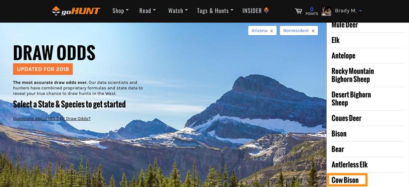 Arizona cow bison draw odds