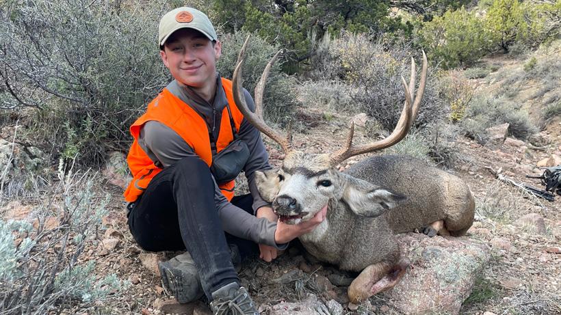 Trail son utah mule deer