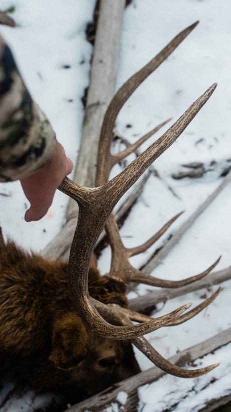 Finding time to hunt as a new parent 7