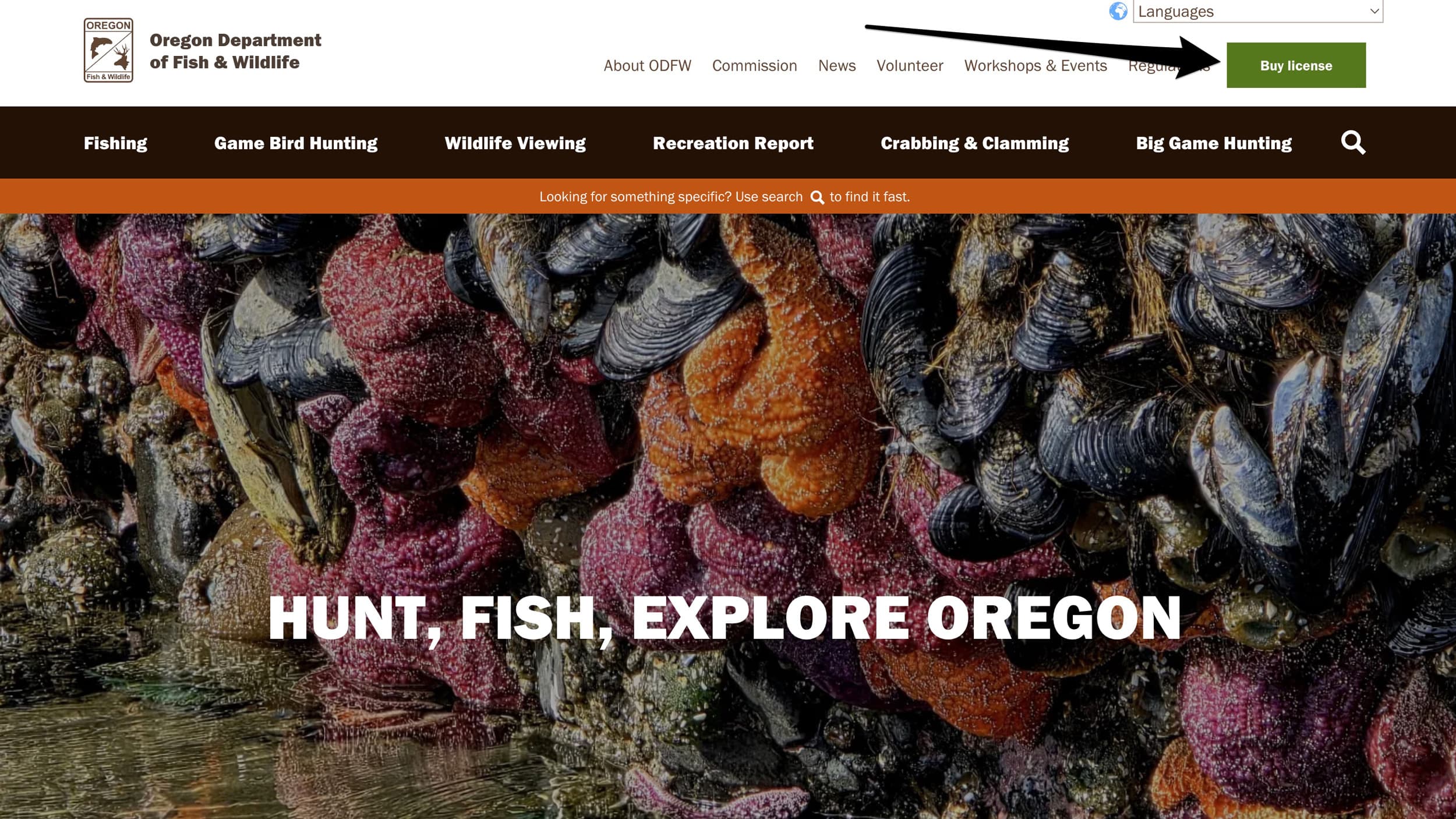 Navigate to the buy license section of Oregon Department of Fish and Wildlife's licensing website