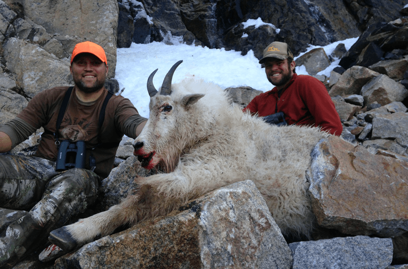 APPLICATION STRATEGY 2015: Wyoming sheep, moose, goat - 4d