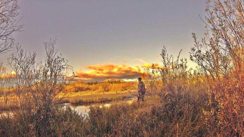Hunter enjoying the morning sunrise