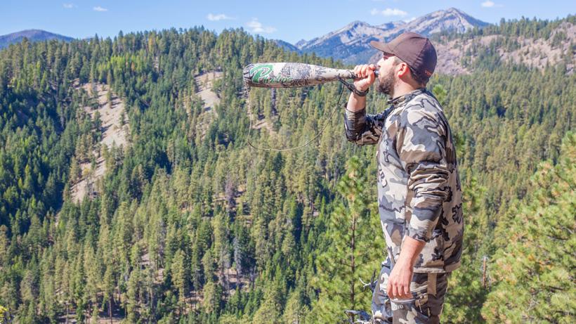 Bugling for washington bull elk
