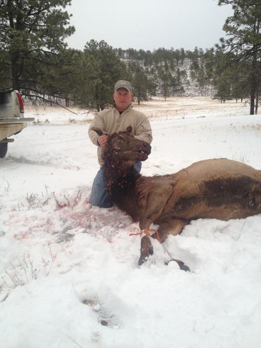 New mexico cow elk harvest
