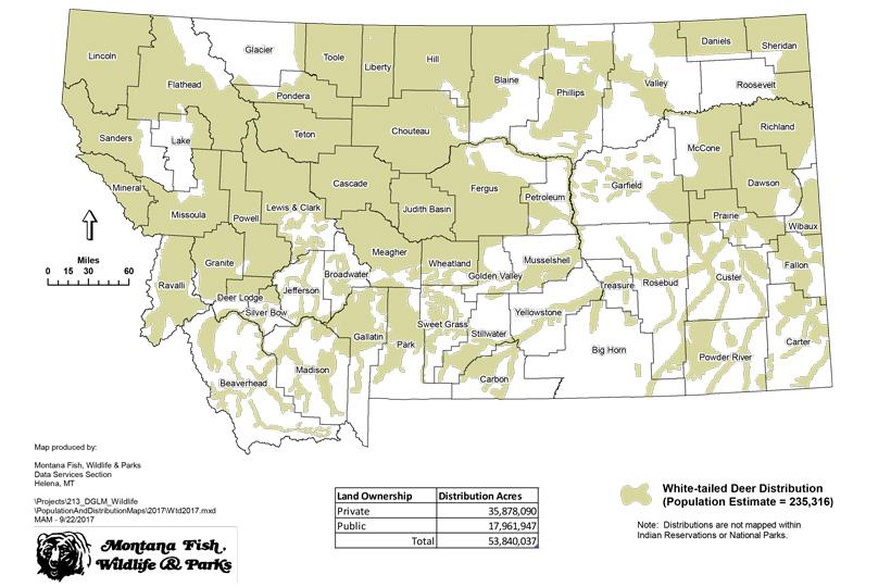 2017 montana whitetail deer population estimate_0