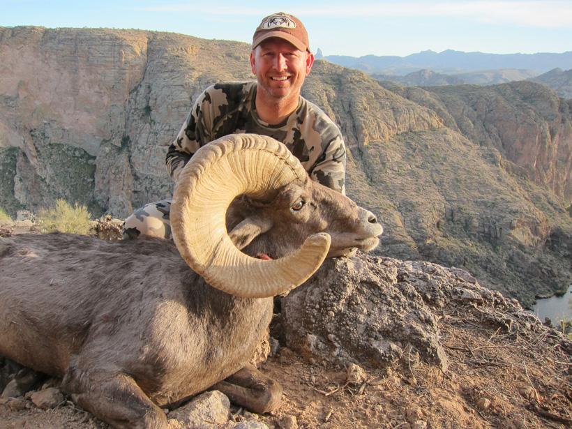 How to accurately age bighorn sheep - 8