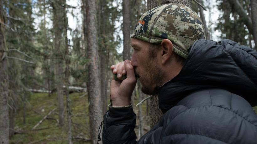 Trail kreitzer cow calling for elk