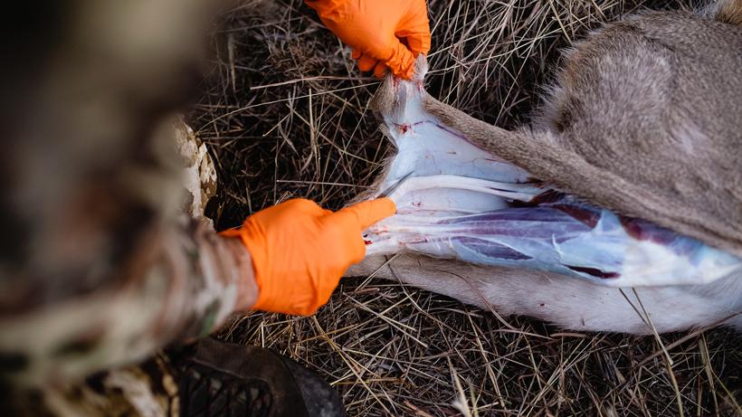 Worth it backpacking hunting pic 3 brandon pc