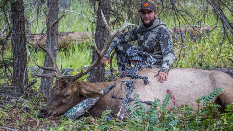 Jeff roberts with his 2016 washington archery bull elk