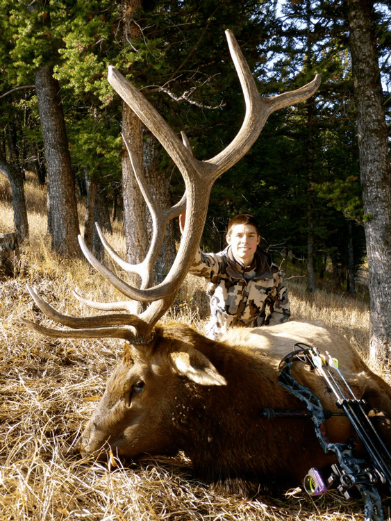 Cody wetmore bull elk_0