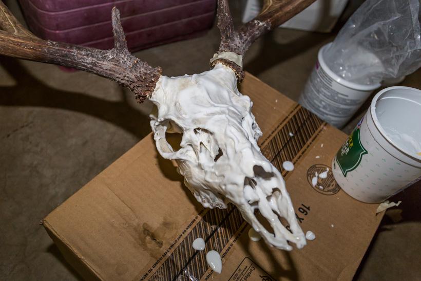 Whitening agents applied to skull