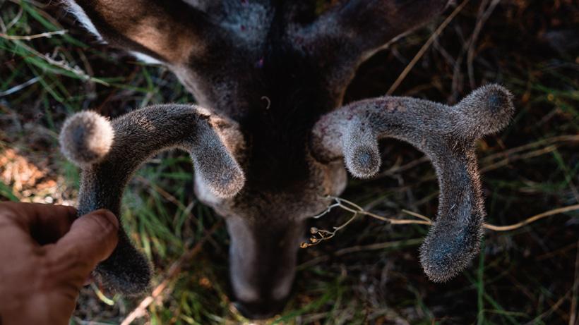 Hot weather hunting tips 4