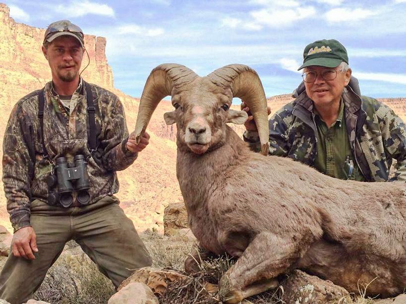 APPLICATION STRATEGY 2016: Colorado Sheep, Moose, Goat - 1d