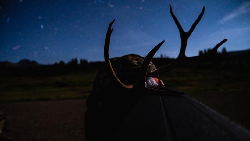 What skills needed for bowhunting 6