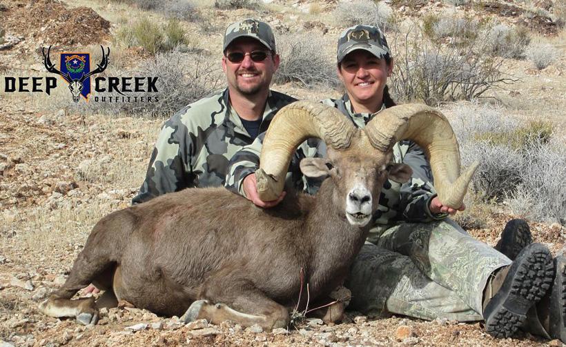 Nevada desert bighorn sheep taken with deep creek outfitters