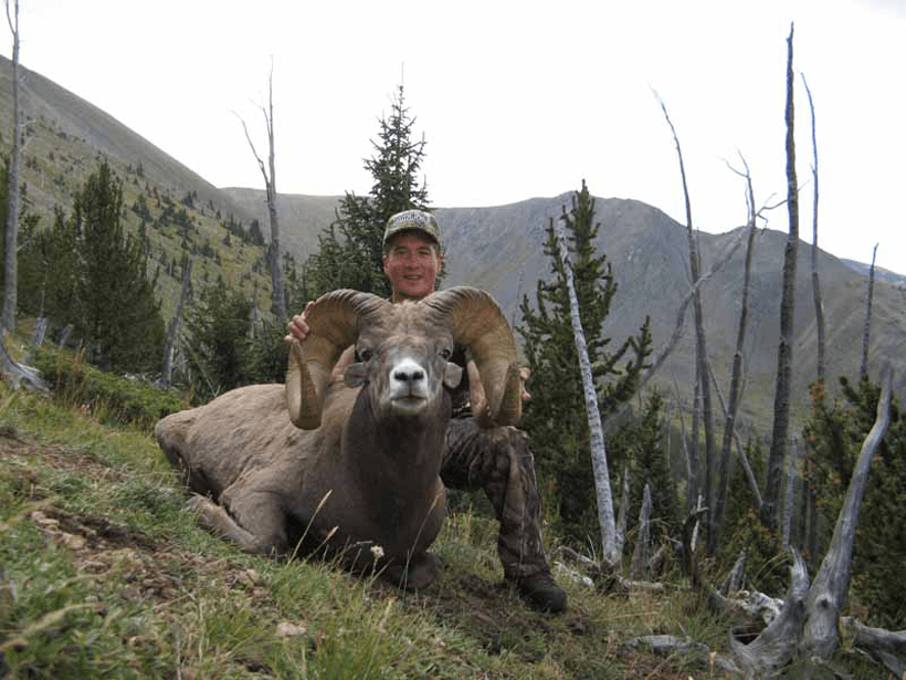 New mexico rocky bighorn 2