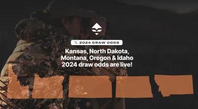 Draw odds now updated for more states on Insider