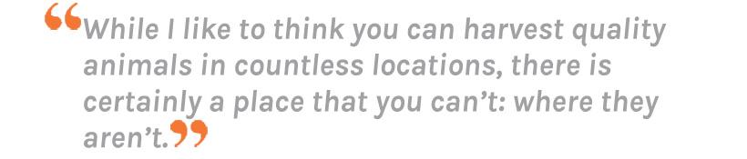 Dan wilde quote about finding elk